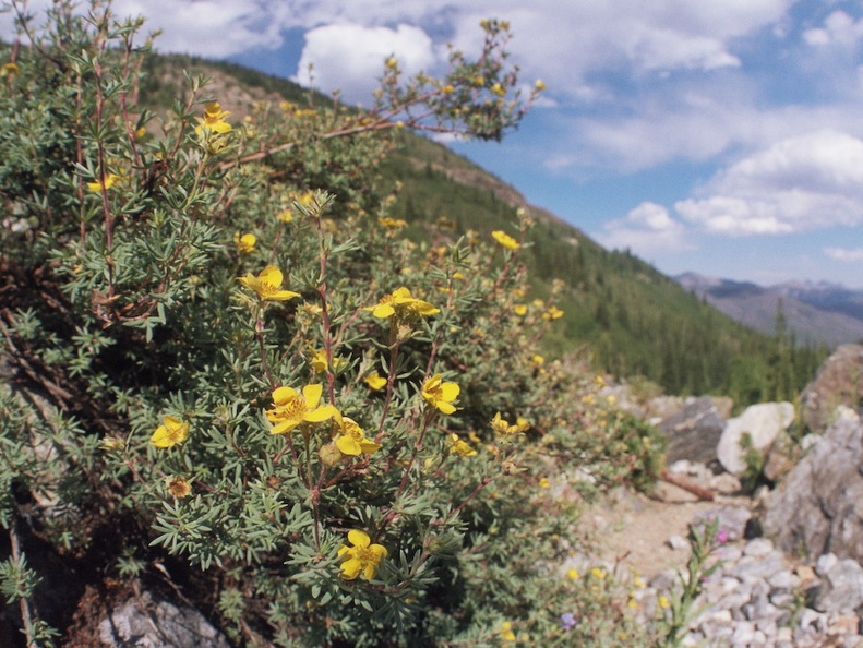 Baker Gulch Trail